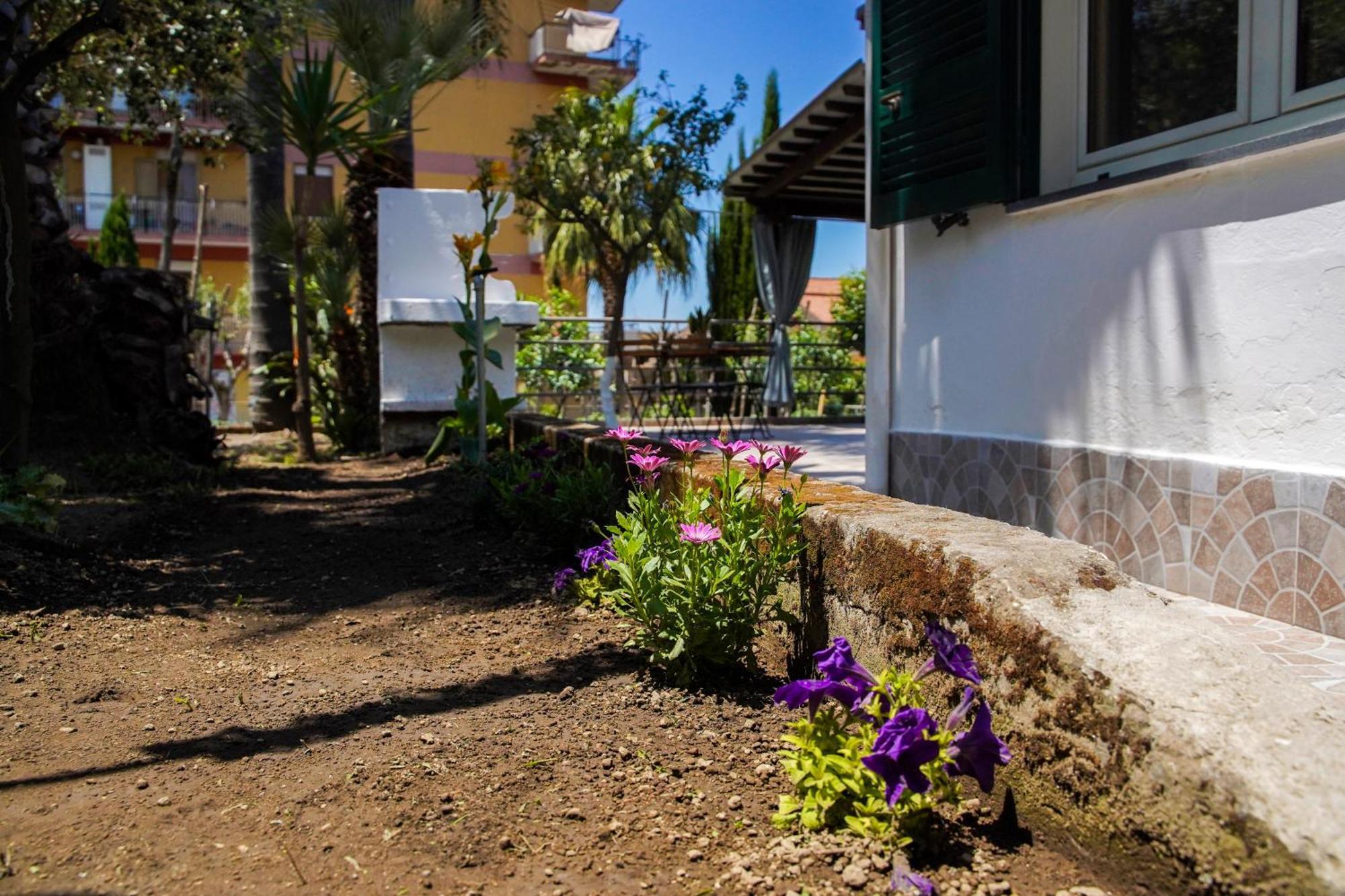 La Sorrentina Apartment กราญาโน ภายนอก รูปภาพ